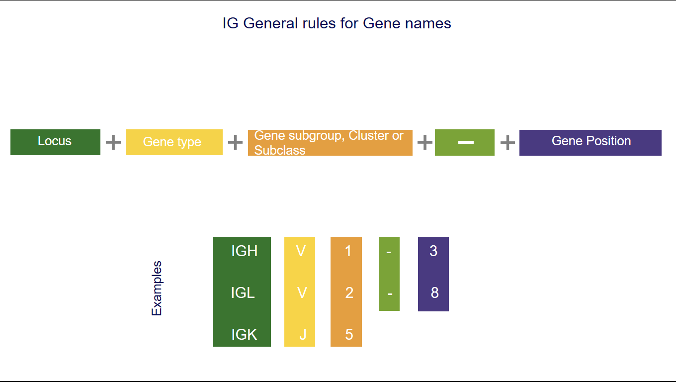 General rules for Gene names