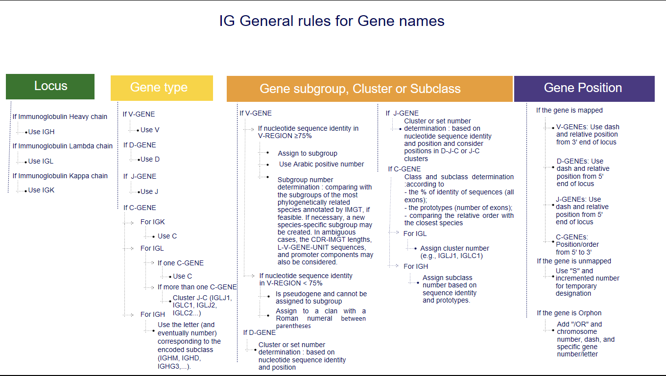 General rules for Gene names - more details