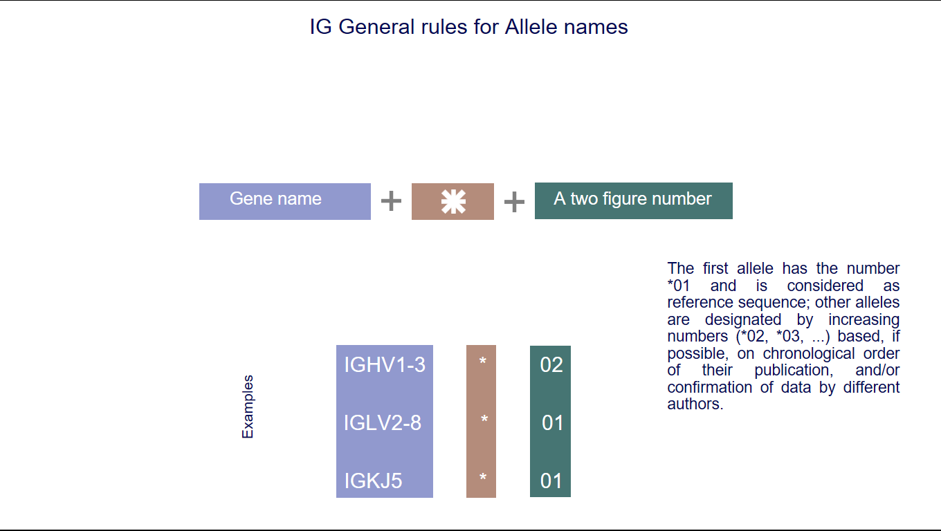 General rules for Allele names