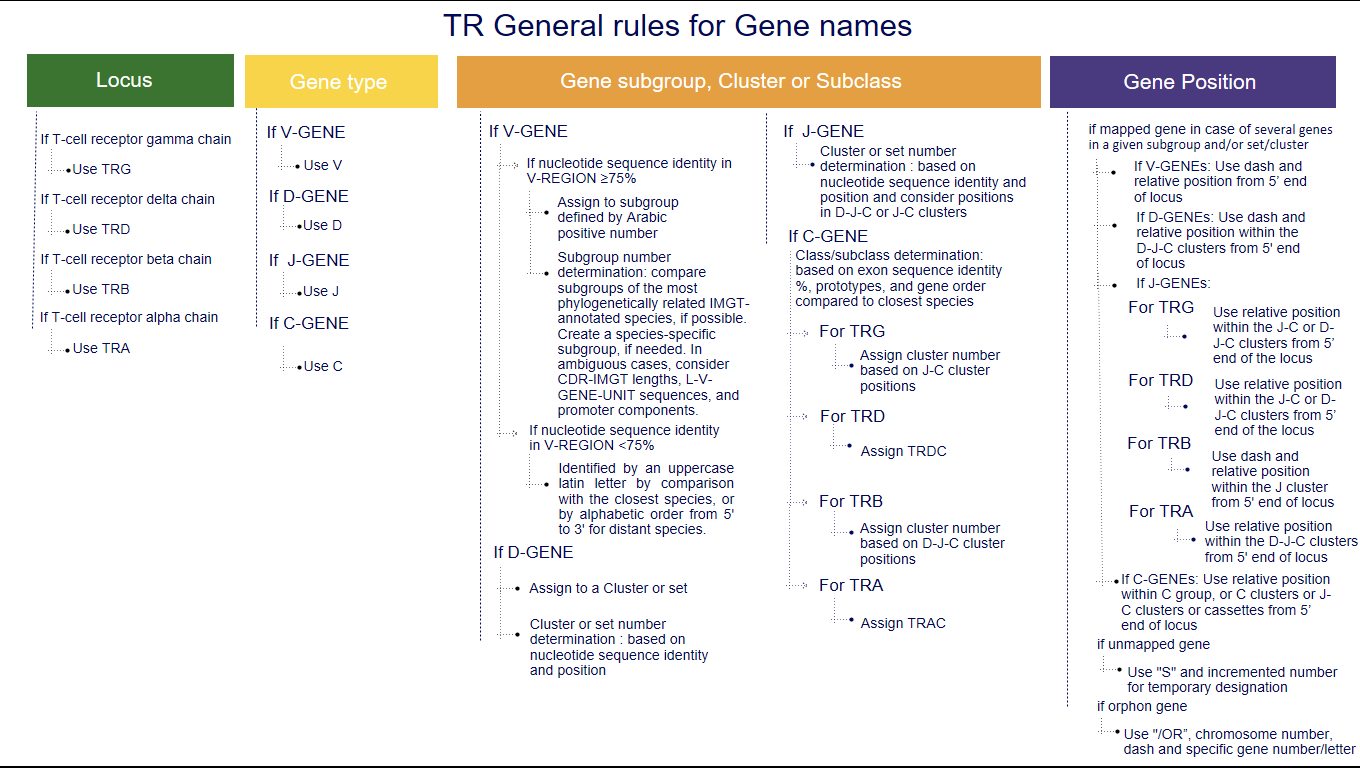 General rules for Gene names - more details