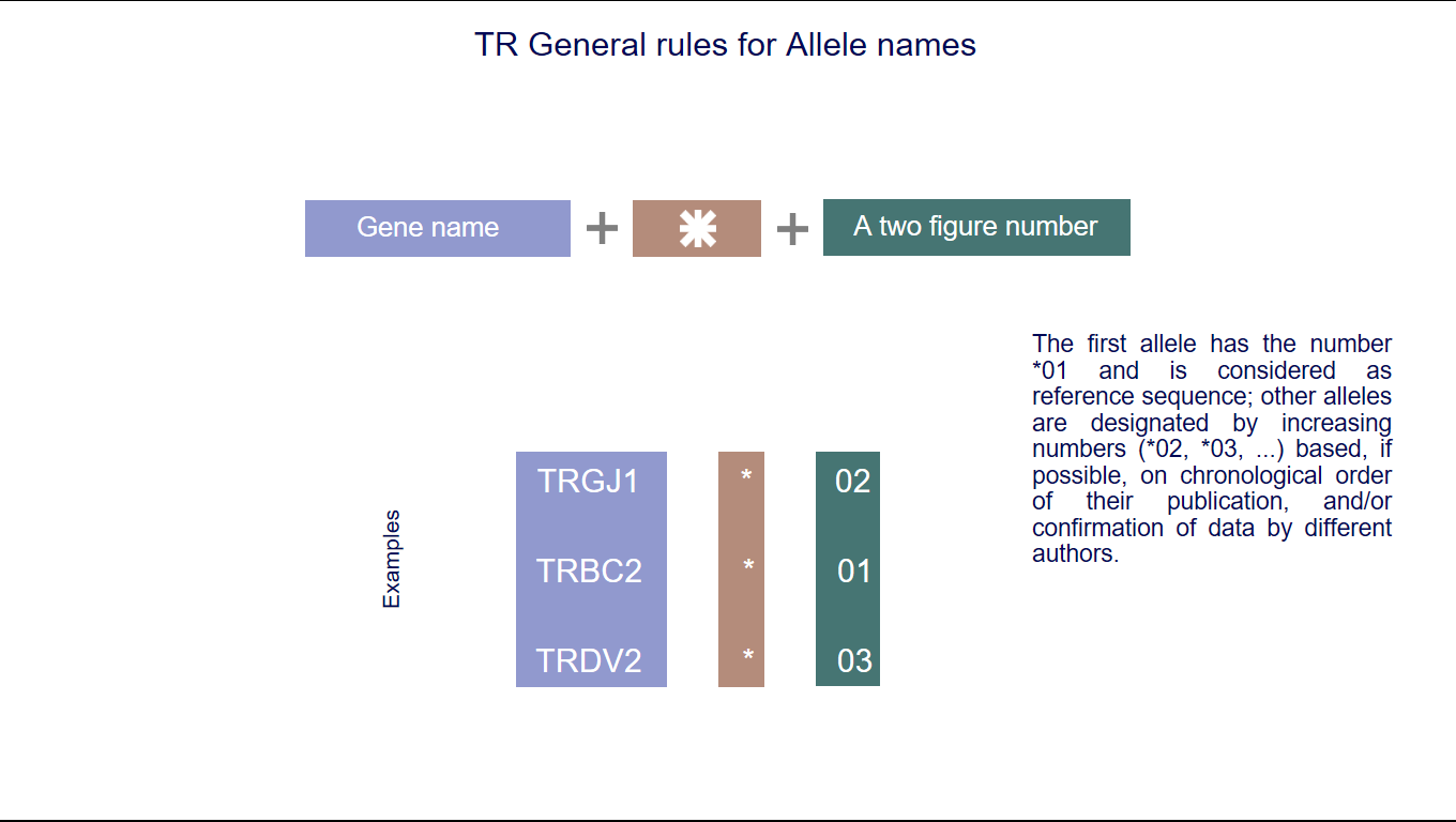 General rules for Allele names