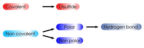 Atom contact types