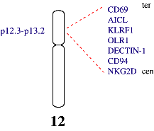 chromosome 12