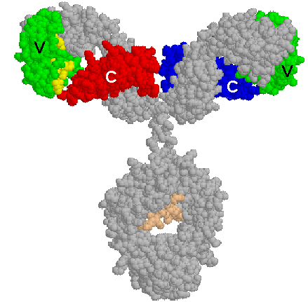 Figure5