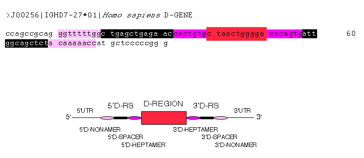 D-GENE example