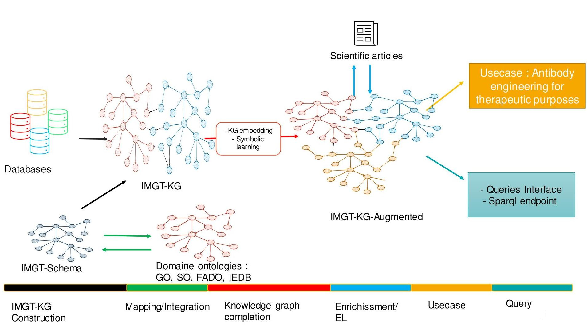A knowledge base in immunogenetics for discovering new knowledge images