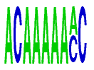 TRB3D9