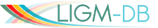 IMGT/LIGM-DB logo