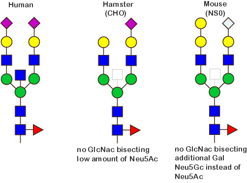 Human vs. CHO and NSO